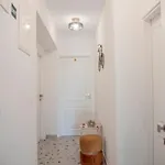 Style Split
